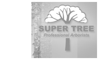 supertree